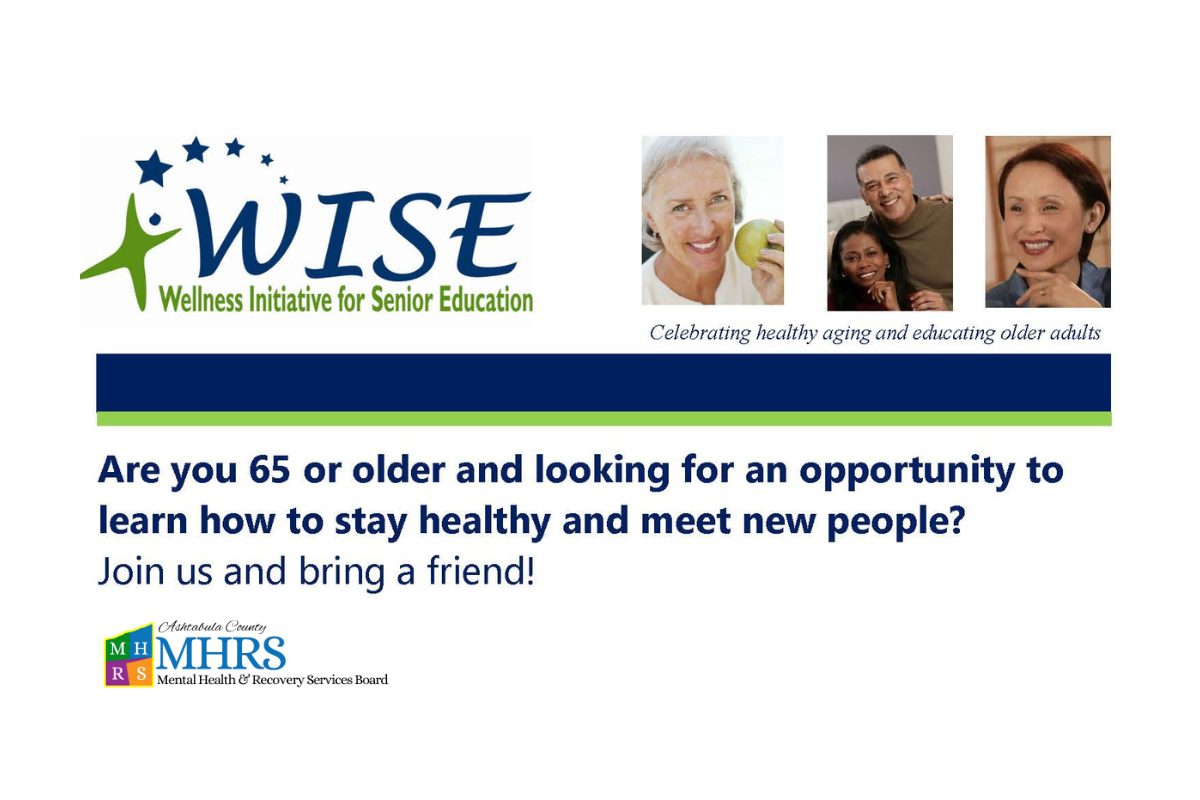 WISE Program Logo and brief information